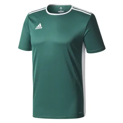 Adidas Entrada 18 Jersey - Collegiate Green / White