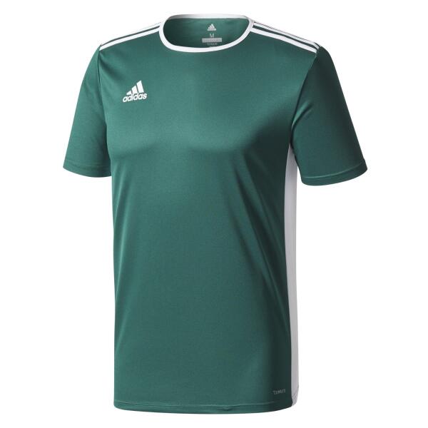 Adidas Entrada 18 Jersey - Collegiate Green / White