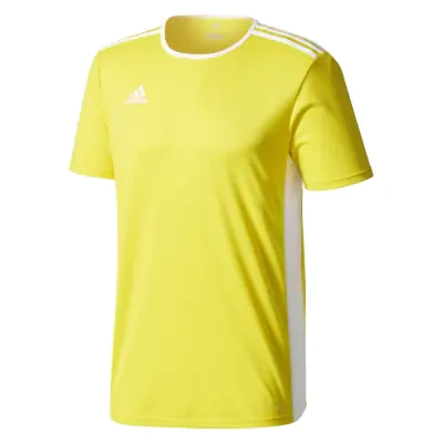 Adidas Entrada 18 Jersey - Yellow / White
