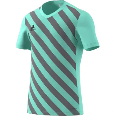 Adidas Entrada 22 GFX Jersey - Clear Mint / Team Light Grey