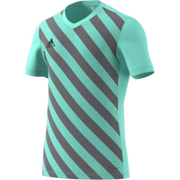 Adidas Entrada 22 GFX Jersey - Clear Mint / Team Light Grey