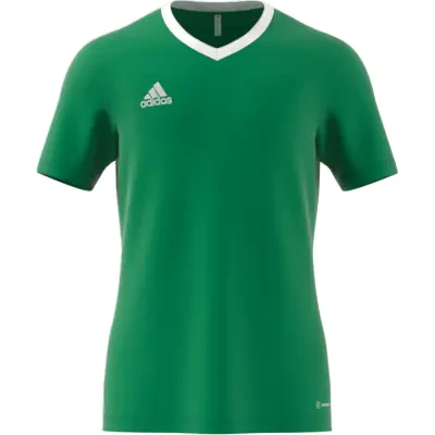 Adidas Entrada 22 Tee Shirt - Team Green
