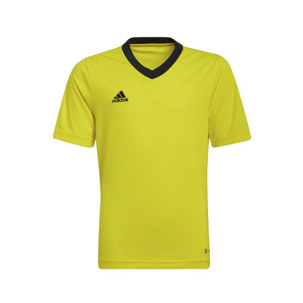 Adidas Entrada 22 Tee Shirt - Team Yellow