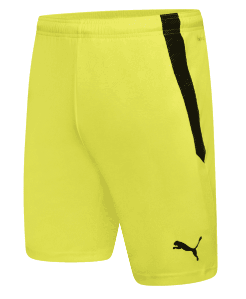 Billericay Town FC Youth/EJA Away GK Shorts