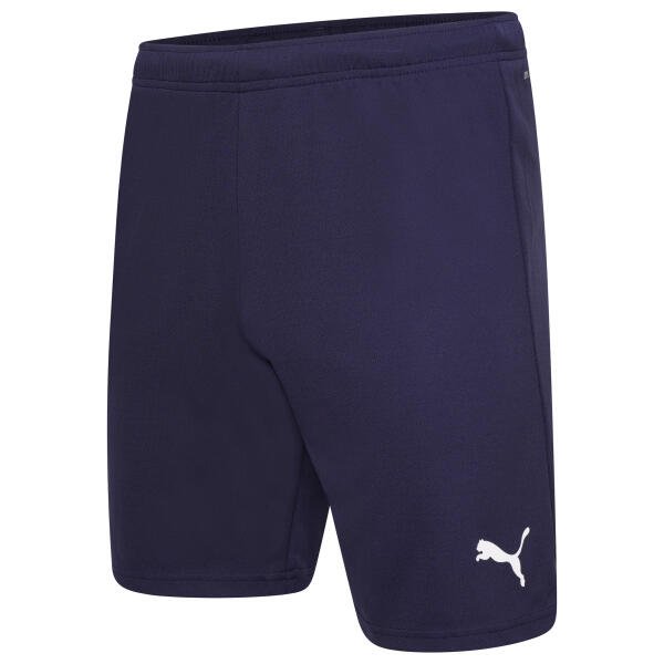 Bowers & Pitsea FC Youth/EJA Away Shorts