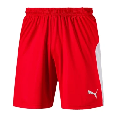 Puma Team Liga Shorts - Red/White