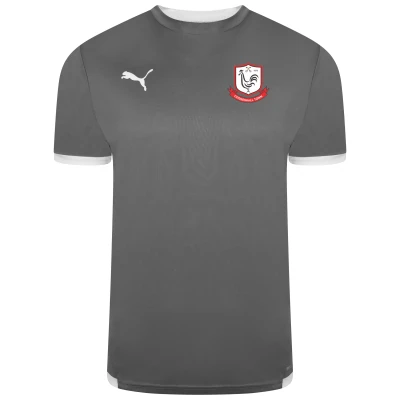 Coggeshall Town FC Youth Training Shirt - Grey