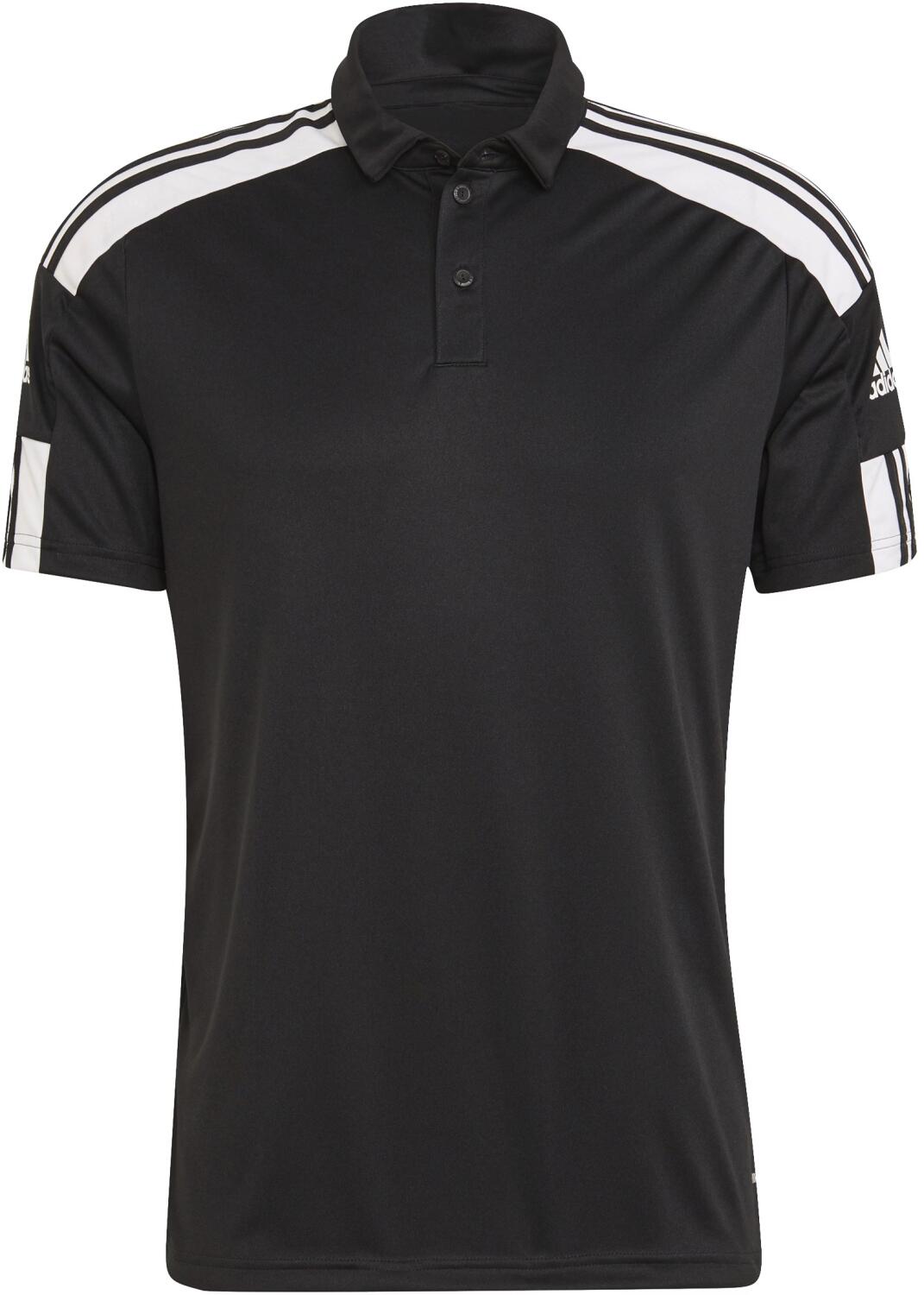 Polo squadra 2025