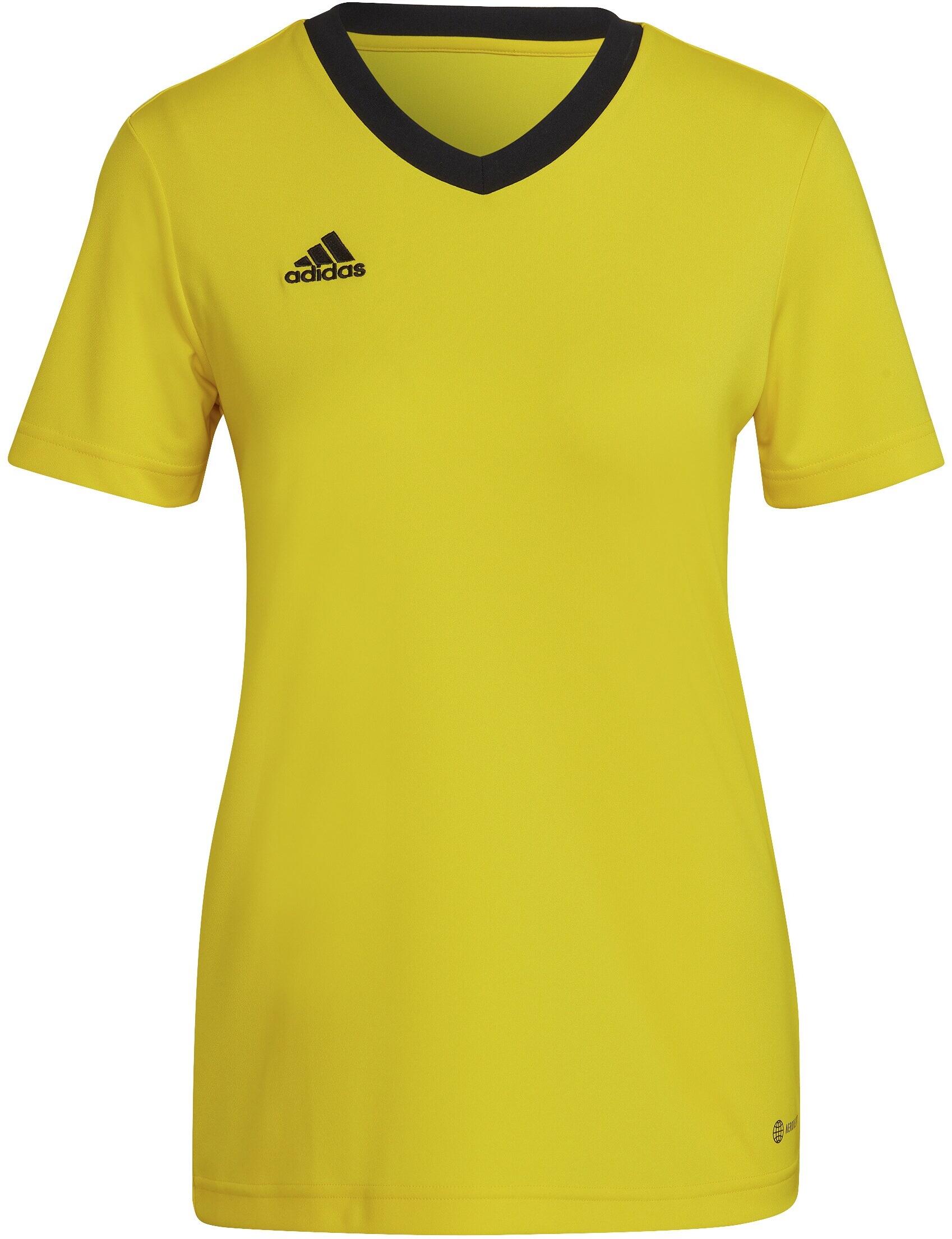 adidas entrada 14 yellow