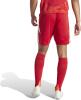 IR9379-5-APPAREL-On-Model-Back-View-white-OXHL-15696.jpg