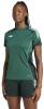 JI8941-4-APPAREL-On-Model-Standard-View-white-OXHL-25433.jpg