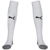 Long-Socks-703441-04a.png