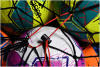 Precision-Football-Carry-Net-12-Ball-2.png
