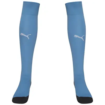 Puma Liga Core Socks - Silver Lake Blue / White