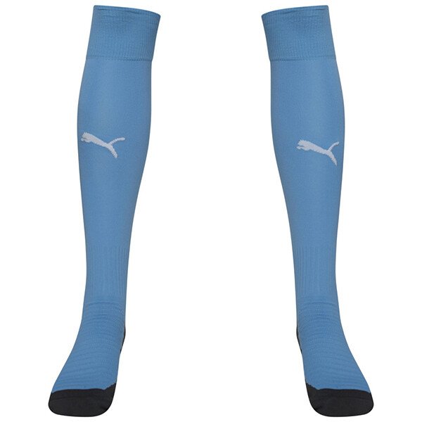 Puma Liga Core Socks - Silver Lake Blue / White