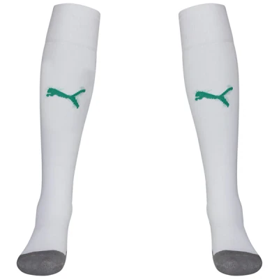 Puma Liga Core Socks - White / Green