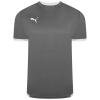 Puma-Team-Liga-25-Jersey-Smoked-Pearl.jpg
