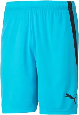 Puma Team Liga Shorts