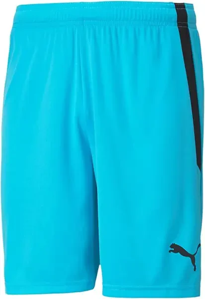 Puma teamLIGA Shorts - Blue Atoll