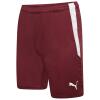 Puma-Team-Liga-25-Shorts-Cordovan.jpg