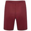 Puma-Team-Liga-25-Shorts-Cordovan-2.jpg