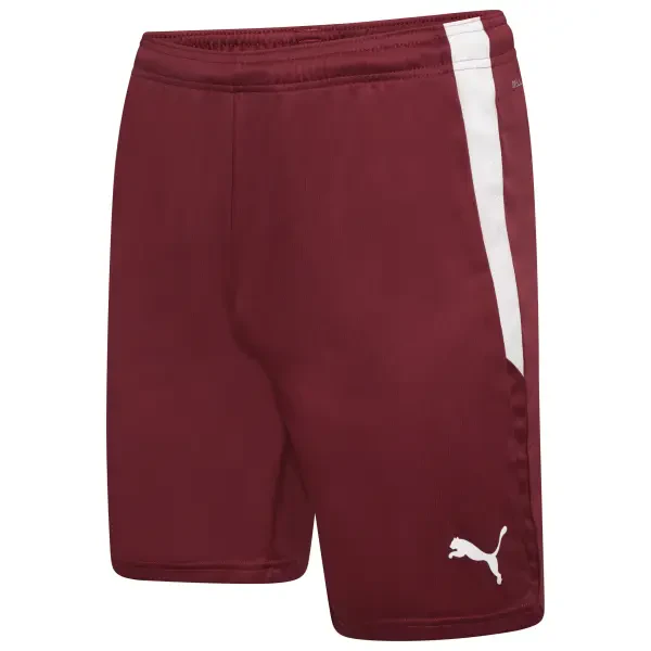 Puma teamLIGA Shorts - Cordovan