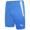 Puma-Team-Liga-25-Shorts-Electric-Blue-Lemonade.jpg