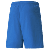 Puma-Team-Liga-25-Shorts-Electric-Blue-Lemonade.png