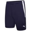 Puma-Team-Liga-25-Shorts-Peacoat.jpg