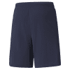Puma-Team-Liga-25-Shorts-Peacoat.png