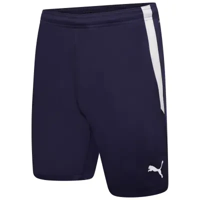 Puma Team Liga Shorts - Peacoat