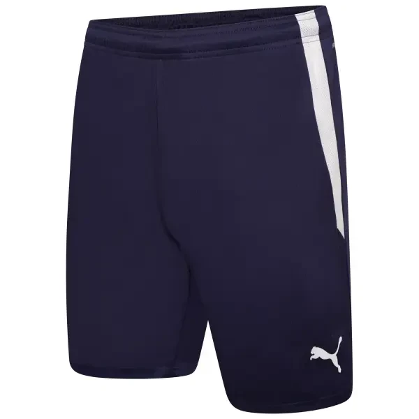 Puma teamLIGA Shorts - Peacoat