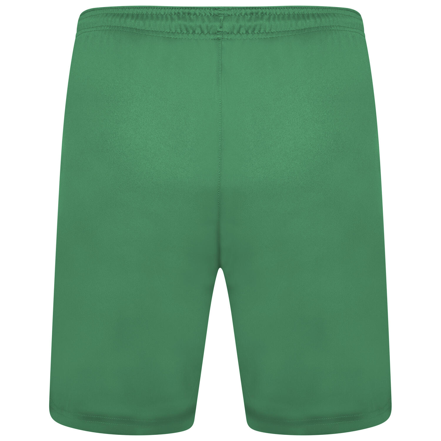 Puma Team Liga 25 Shorts Pepper Green Total Football Direct