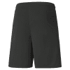 Puma-Team-Liga-25-Shorts-Puma-Black.png