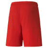 Puma-Team-Liga-25-Shorts-Puma-Red.png