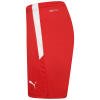 Puma-Team-Liga-25-Shorts-Puma-Red-3.jpg