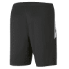 Puma-Team-Liga-25-Training-Shorts-Puma-BlackWhite-2.png