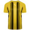 Puma-Team-Liga-Striped-Jersey-Cyber-Yellow.jpg