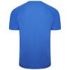 Puma-Team-Liga-Striped-Jersey-Electric-Blue-Lemonade-2.jpg