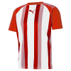 Puma-Team-Liga-Striped-Jersey-Puma-RedWhite.png