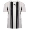 Puma-Team-Liga-Striped-Jersey-Puma-White.jpg