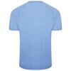 Puma-Team-Liga-Striped-Jersey-Team-Light-Blue-2.jpg