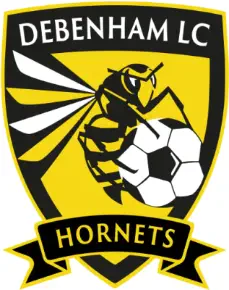 Debenham LC FC- Embroidered Badge
