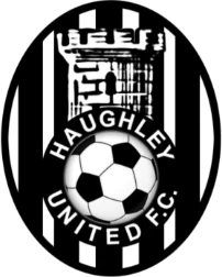 Haughley United Youth FC- Embroidered Badge (Included)