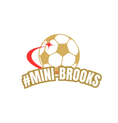 Mini-Brooks