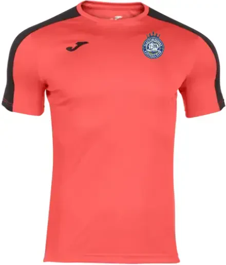 Clacton Regent FC Training Shirt