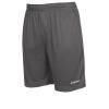 Stanno-Field-Shorts-Grey.jpg