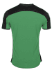 Stanno-Pride-Shirt-Green-Black-2.png