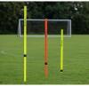 TR728-Precision-Telescopic-Boundary-Poles-Set-of-12.jpg