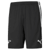 Training-Shorts-657249-03c.png
